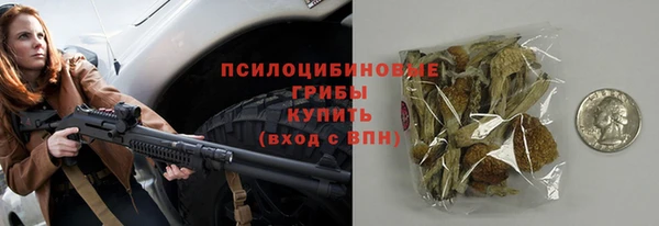 стаф Алексеевка