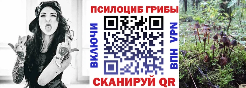 даркнет сайт  Заполярный  гидра как зайти  Галлюциногенные грибы Psilocybine cubensis 